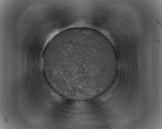 X0000091341366200708241214