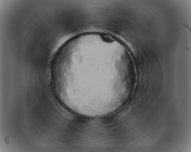 X0000091341367200708241214