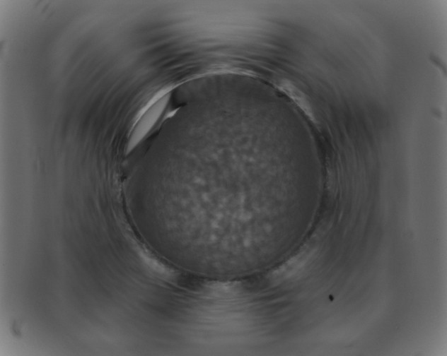 X0000091341369200708241214