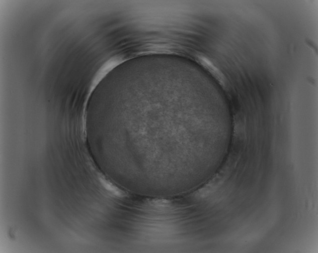 X0000091341370200708241214