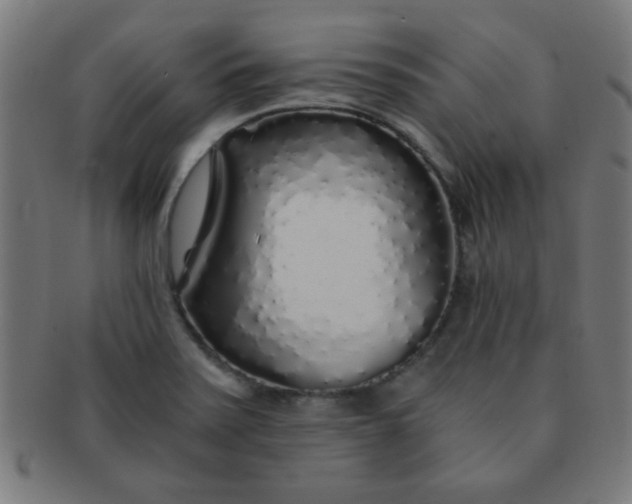 X0000091341371200708241214