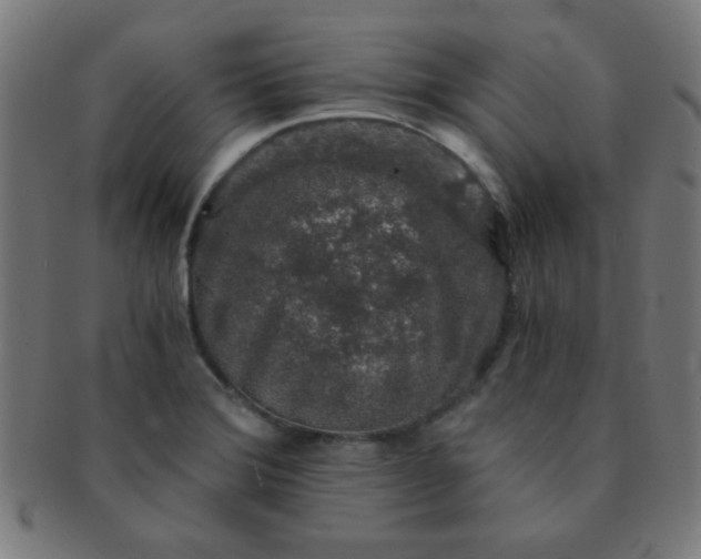 X0000091341372200708241214