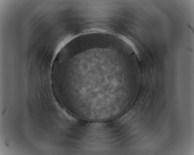 X0000091341373200708241214