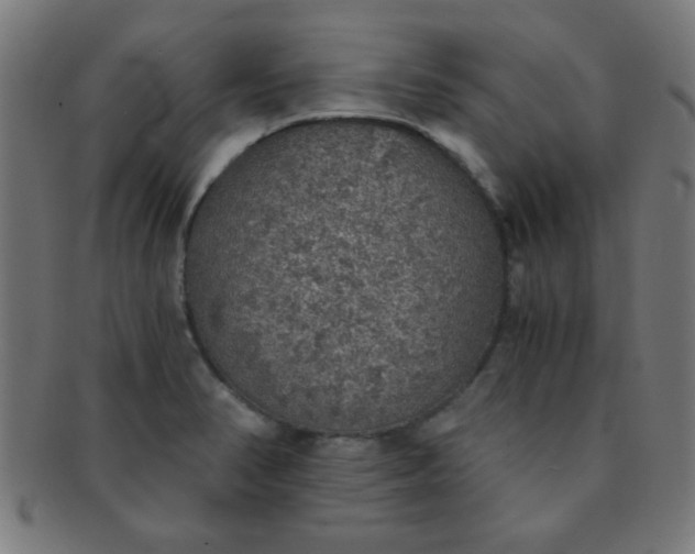 X0000091341374200708241214