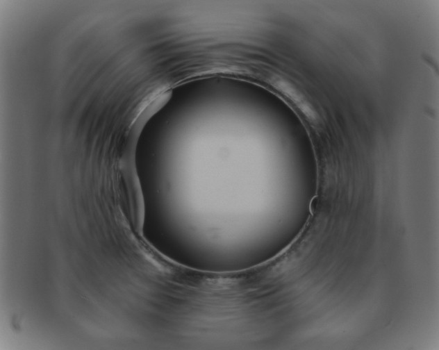 X0000091341377200708241214