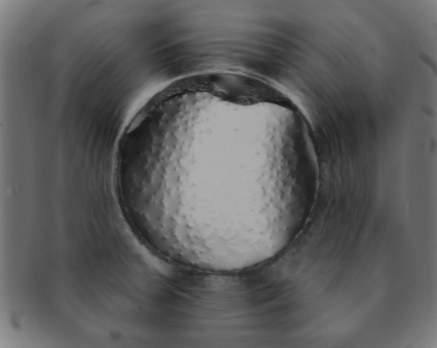 X0000091341379200708241214