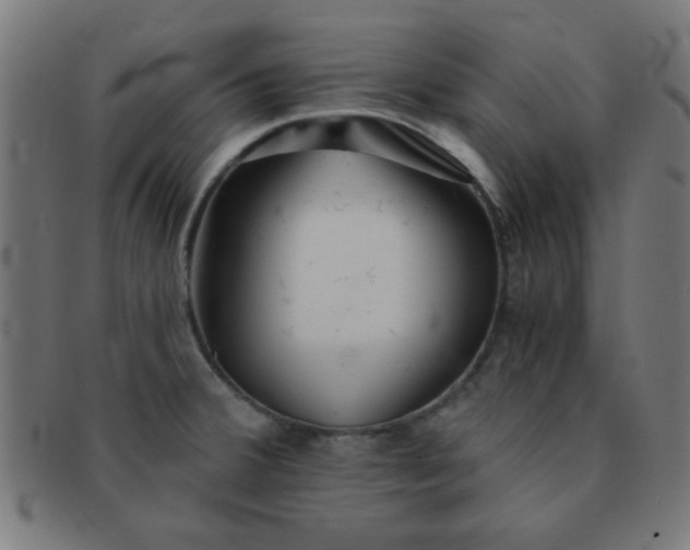 X0000091341380200708241214