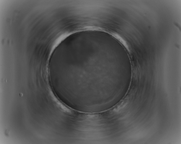 X0000091341381200708241214