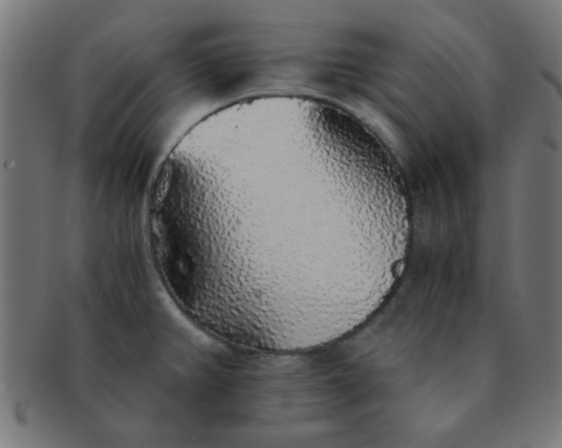 X0000091341382200708241214