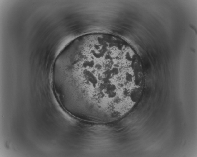 X0000091341383200708241214