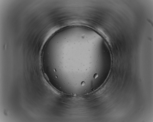 X0000091341384200708241214