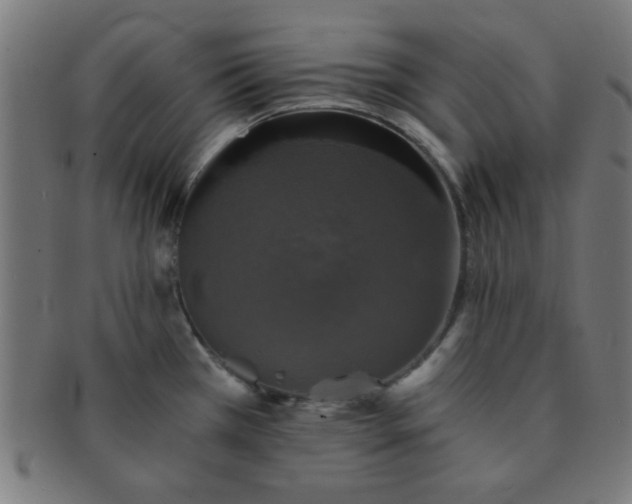 X0000091341385200708241213