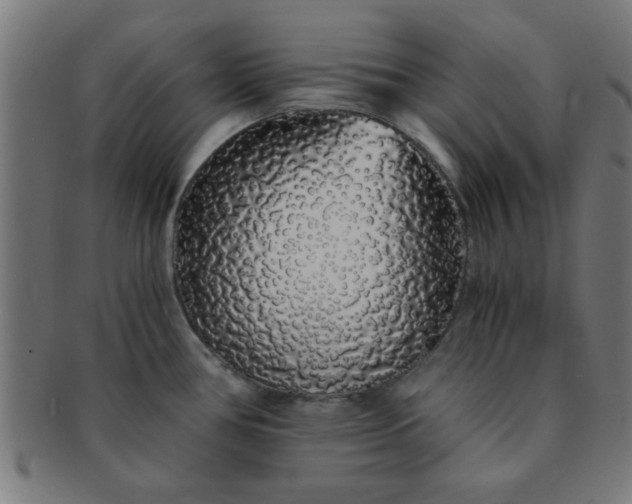 X0000091341386200708241213