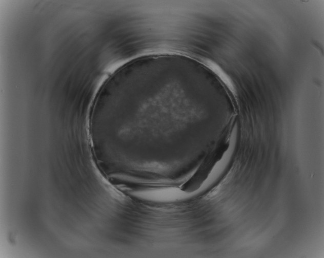 X0000091341388200708241213