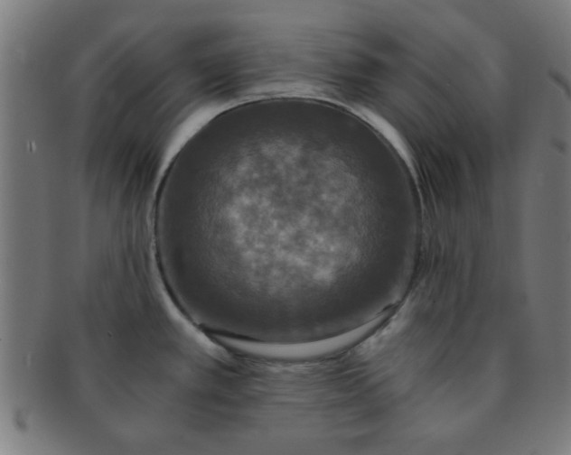 X0000091341389200708241213