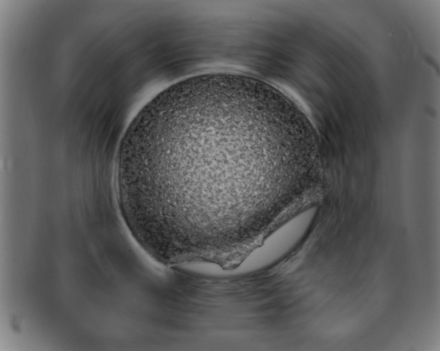 X0000091341391200708241213