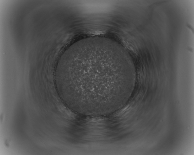 X0000091341393200708241213