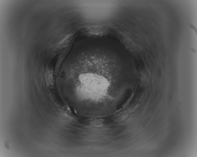 X0000091341394200708241213