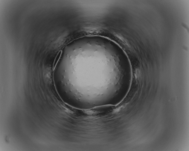 X0000091341396200708241213