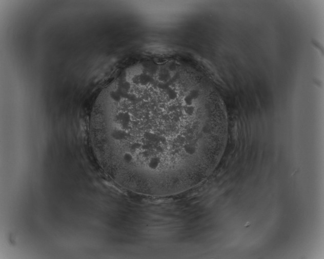 X0000091341397200708241213