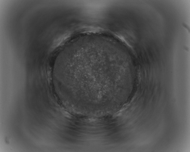 X0000091341399200708241213