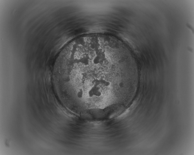 X0000091341401200708241213