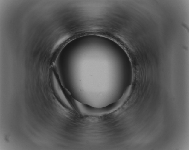 X0000091341402200708241213