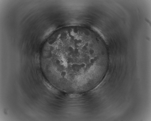 X0000091341403200708241213