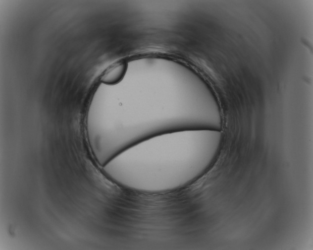 X0000091341404200708241213