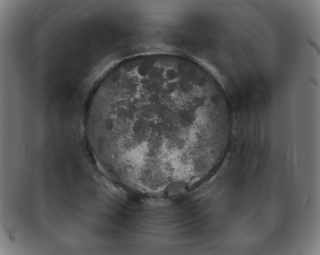 X0000091341407200708241213