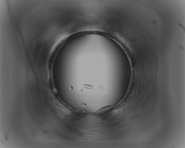 X0000091341408200708241213