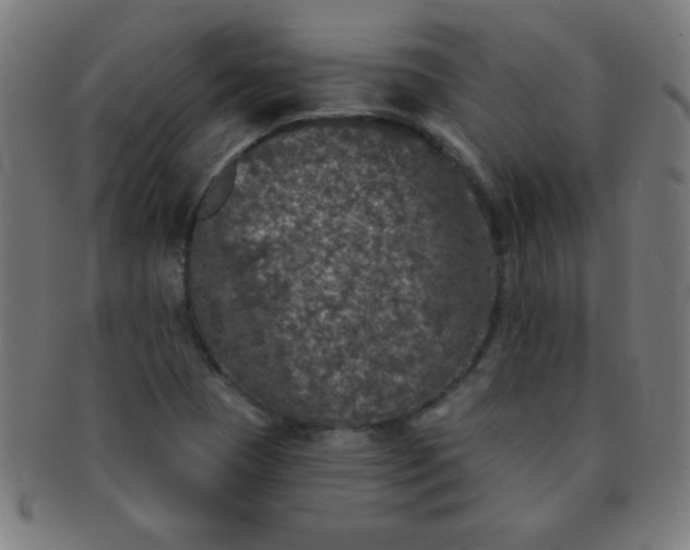 X0000091341409200708241213