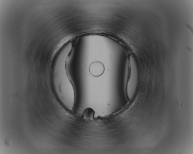 X0000091341410200708241213