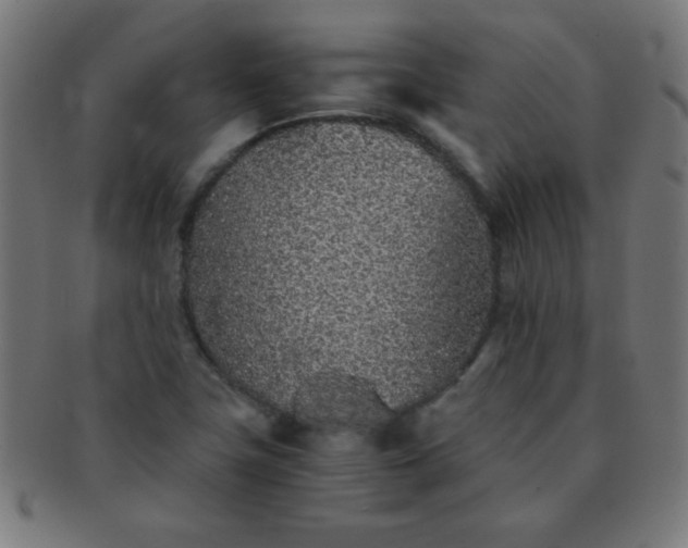 X0000091341411200708241213