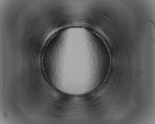 X0000091341412200708241213