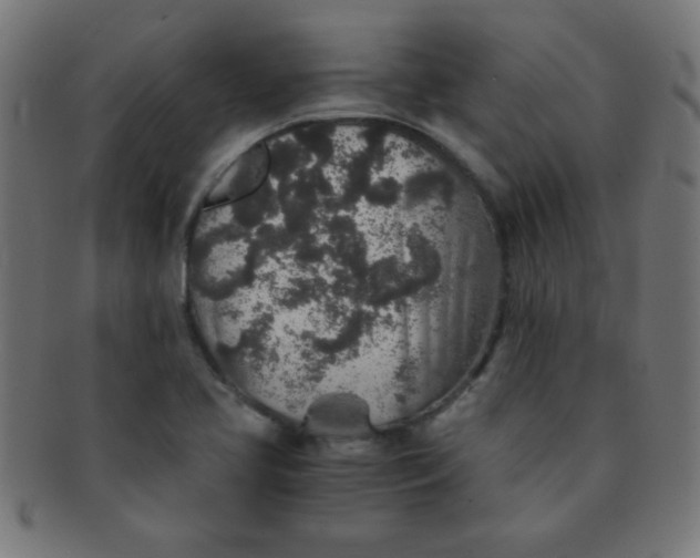 X0000091341413200708241213