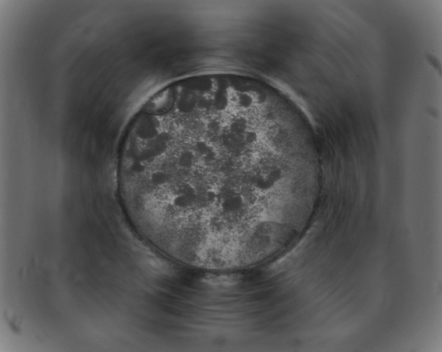 X0000091341415200708241213