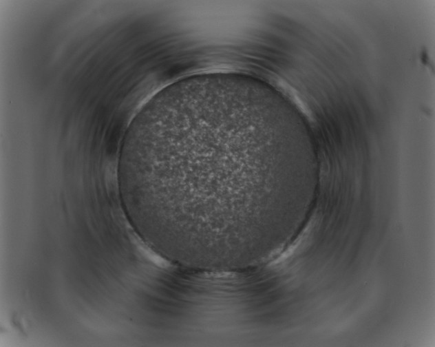 X0000091341417200708241213