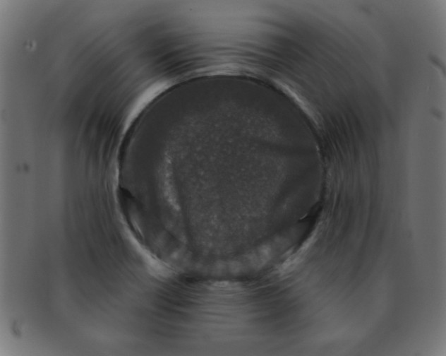 X0000091341418200708241213