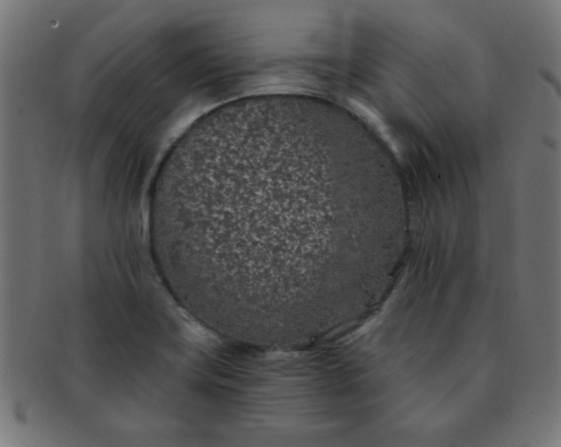 X0000091341419200708241213