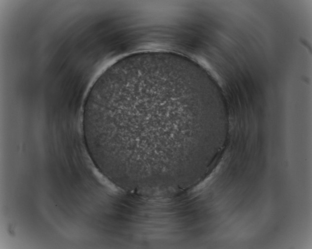 X0000091341421200708241213