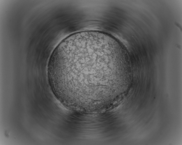 X0000091341423200708241213