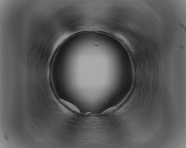 X0000091341424200708241213