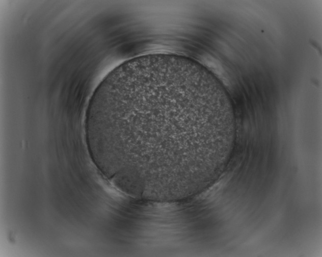 X0000091341427200708241213