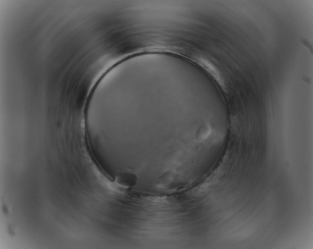 X0000091341428200708241213