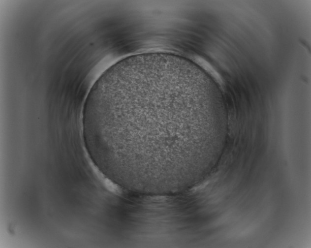 X0000091341431200708241213