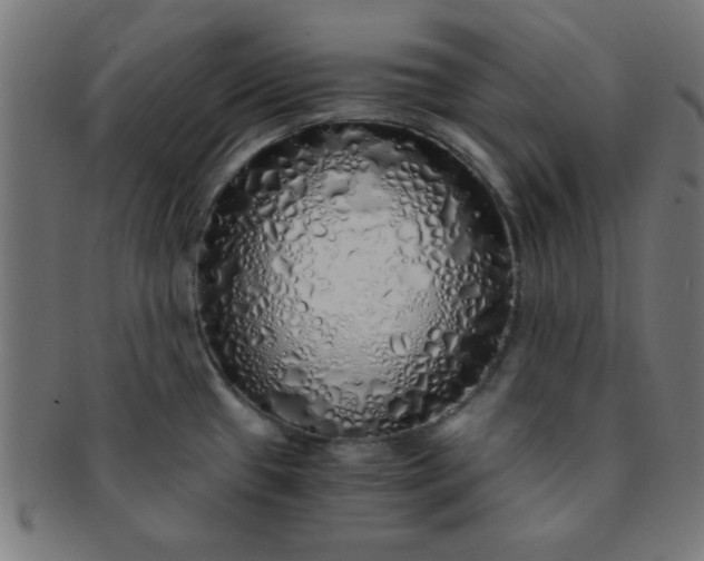 X0000091341433200708241213