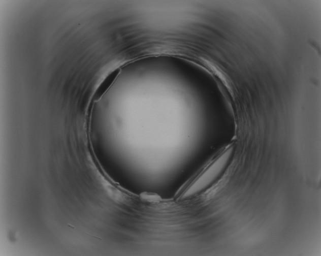 X0000091341434200708241213