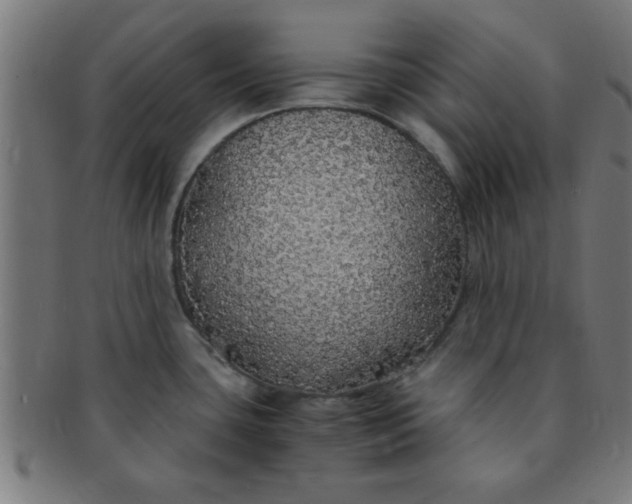 X0000091341435200708241213