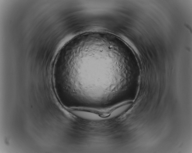 X0000091341437200708241213